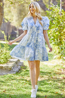 Whimsy Baby doll Dress