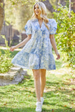 Whimsy Baby doll Dress