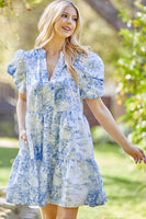 Whimsy Baby doll Dress