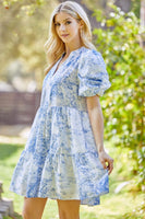 Whimsy Baby doll Dress