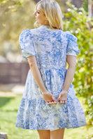 Whimsy Baby doll Dress