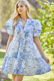 Whimsy Baby doll Dress