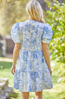 Whimsy Baby doll Dress