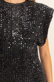 Sequin Velvet Mini Dress