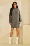 Sweater Long Sleeve Mini Dress